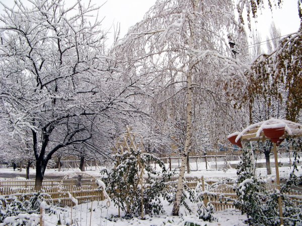 Январский снег в городе