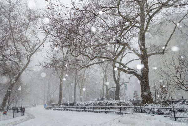 Видео снегопад в парке