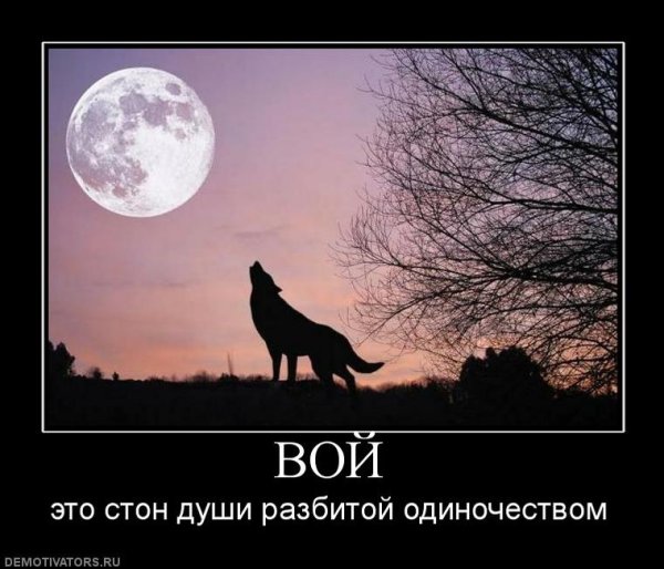 Волки воющие на луну с надписями