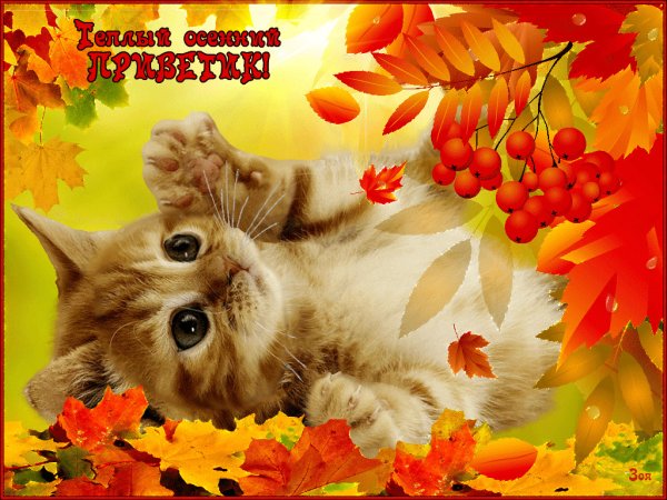 Тёплая осень