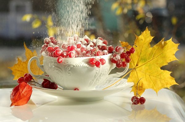 Доброе утро осень