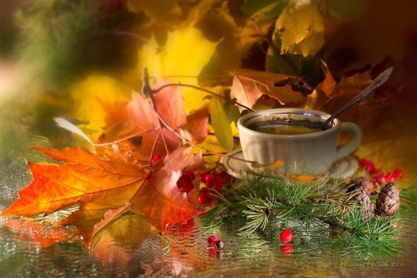 С последним днем осени