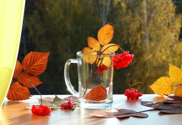 Доброе Холодное осеннее утро