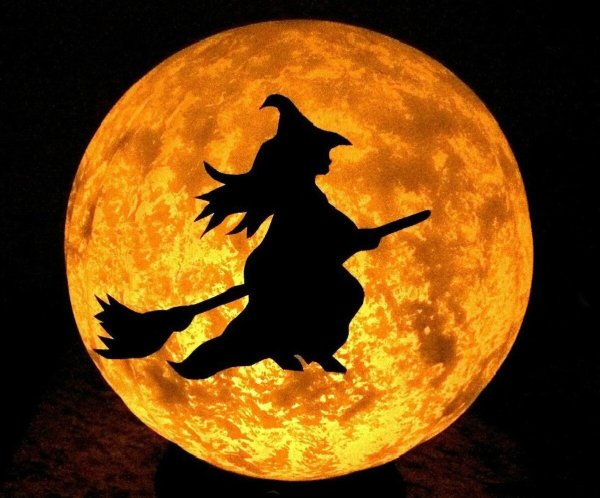 Луна и летучие мыши