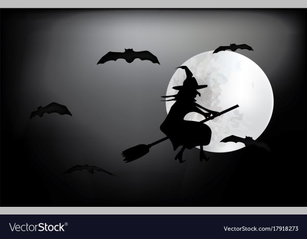 Знак на метле не летать