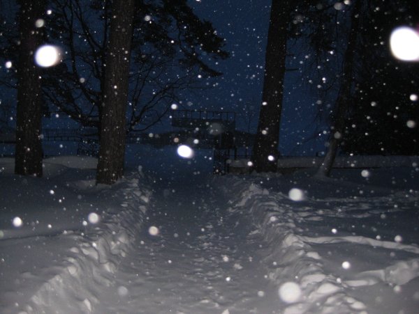Снег ночью