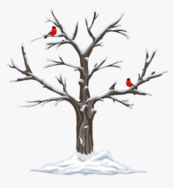 Дерево рисунок для детей зимнее 48 фото