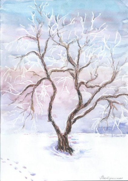 Рисование зимних деревьев