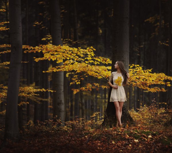 Осенний фотосет в лесу