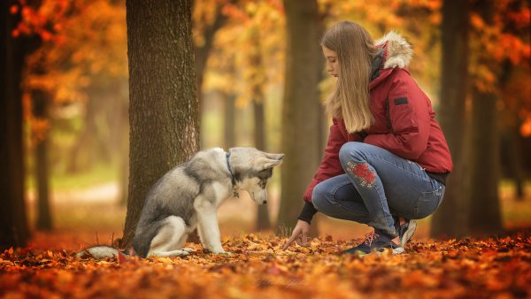 Осенние фото с людьми
