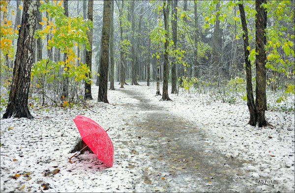 Осень дождь