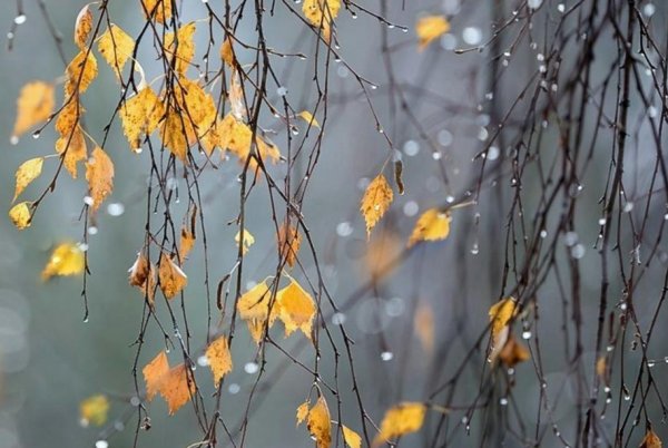 Ноябрь картинки