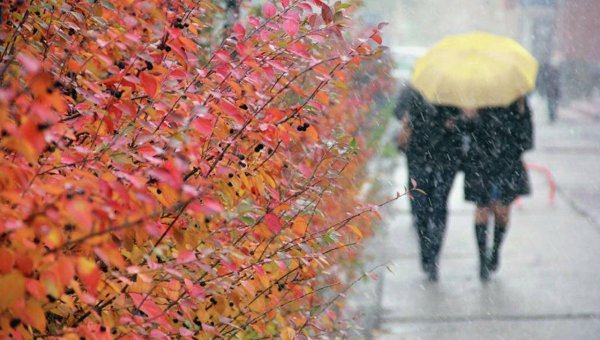 Мокрый снег с дождем осенью