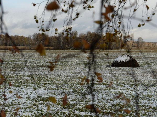 Поздняя осень дождь ветер