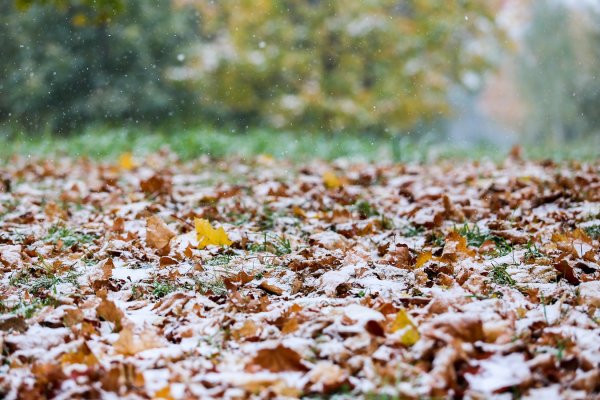 Осень снег с дождем