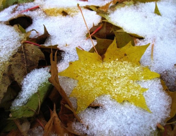 Осень мокрый снег