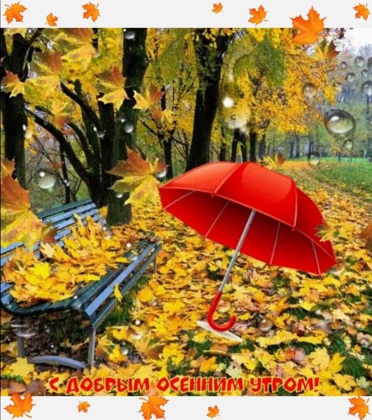 Доброе дождливое осеннее утро