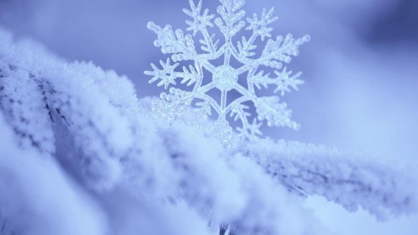 Снег снежинки