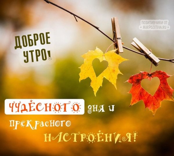 Доброго осеннего утра и хорошего дня