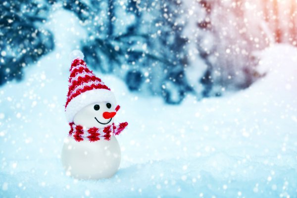 Снеговик и новый год