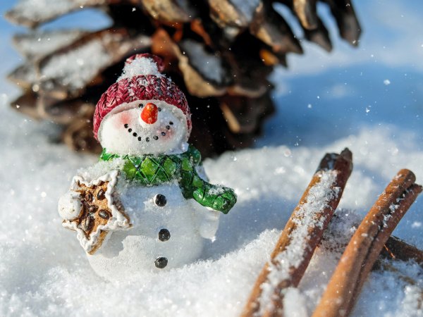 Новый год снег