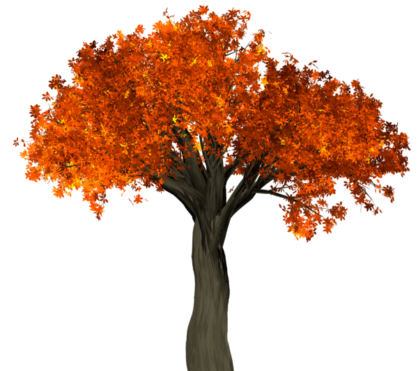 Осеннее дерево