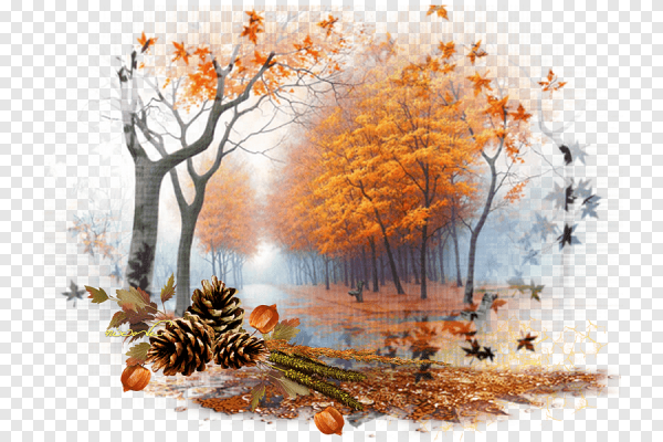 Прозрачная осень