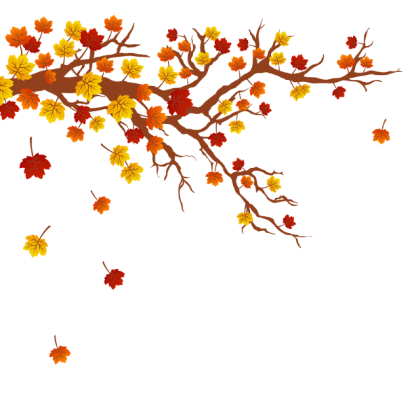 Ветка осеннего дерева