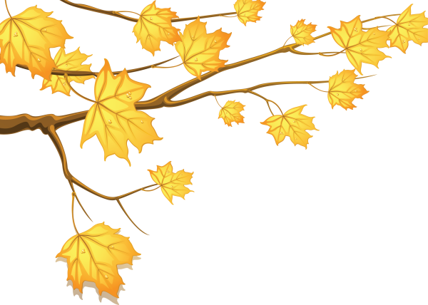 Осенняя ветка на прозрачном фоне