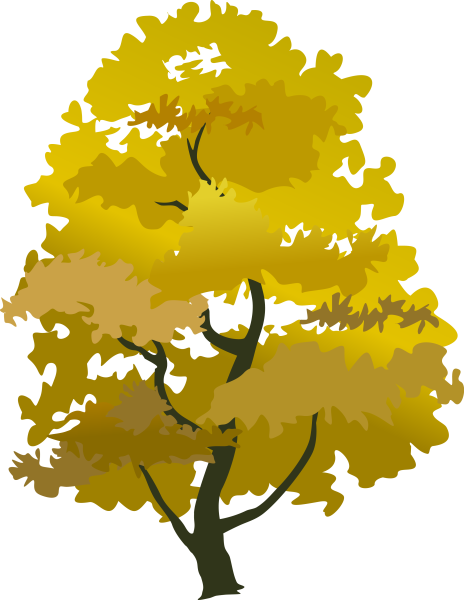 Дуб осенью для детей