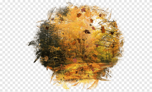 Прозрачная осень