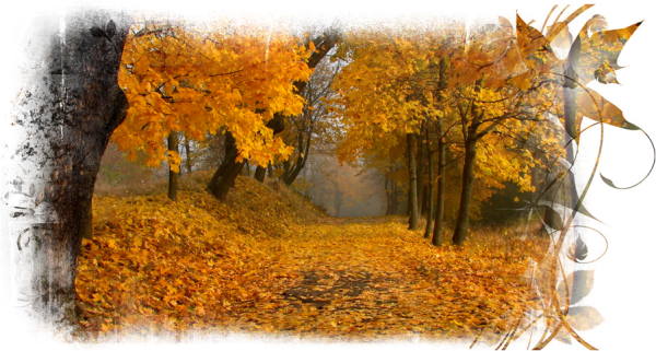 Природа осенью на прозрачном фоне