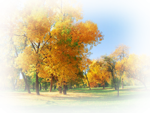 Прозрачная осень