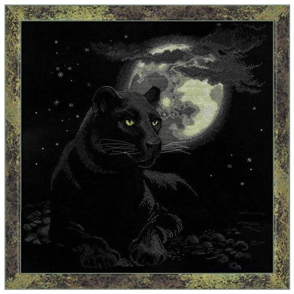 Риолис черная пантера