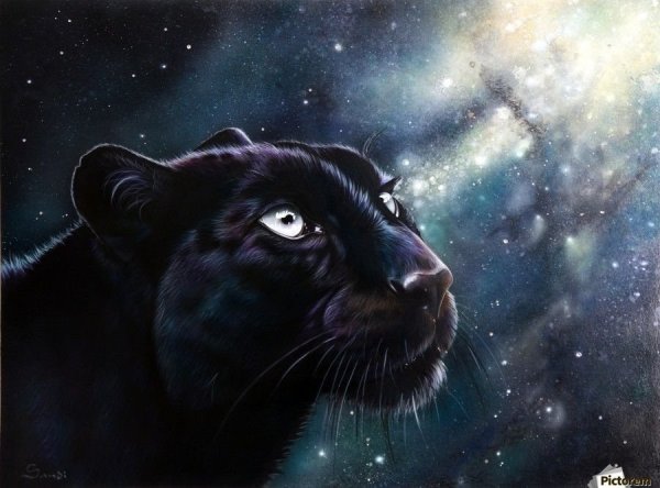 Художник Санди Бейкер