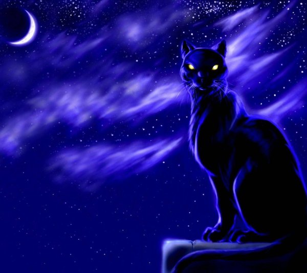 Коты Воители Лунная звезда