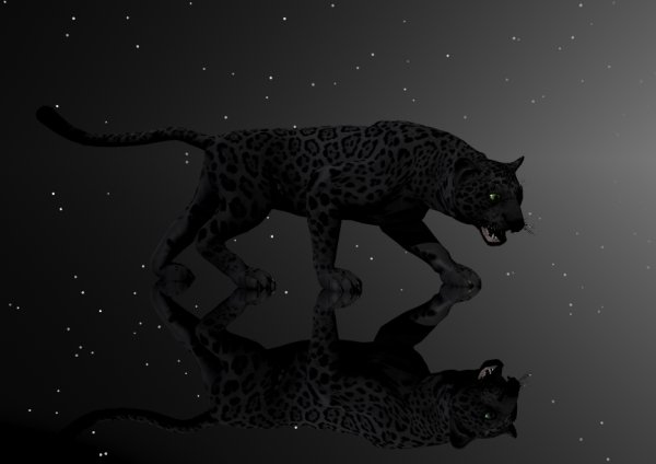 Пантера ночь Луна