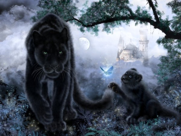 Дикая кошка фэнтези