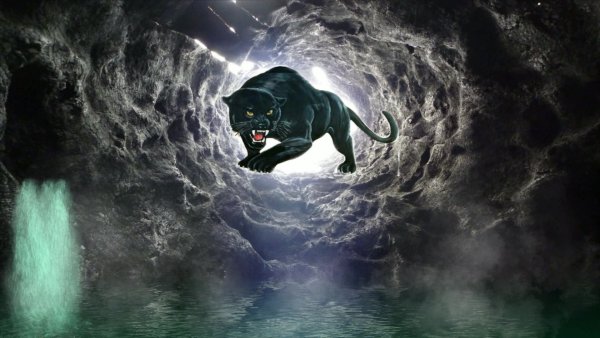 Заставка на рабочий стол пантера