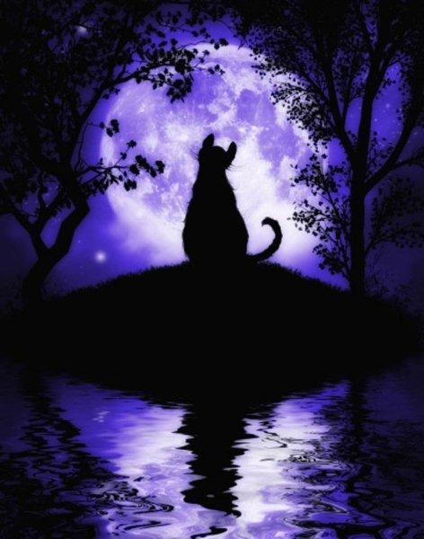 Кошка на фоне Луны
