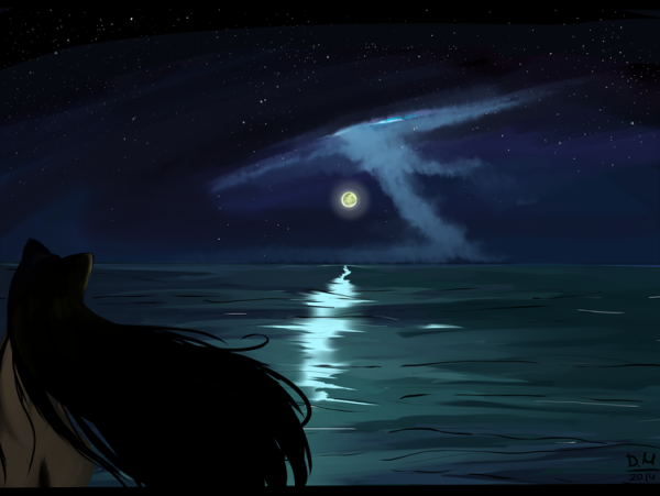 Пантера под ночным небом