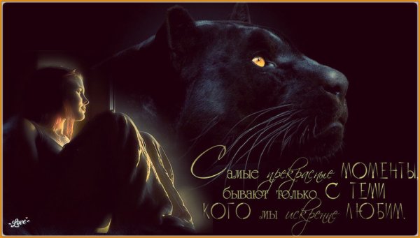 Цитаты про пантеру