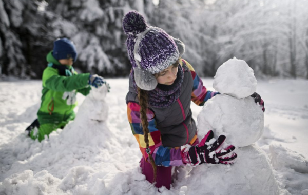 Конкурс Эколята 2022