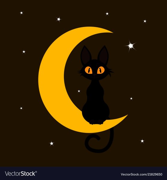 Кот на полумесяце