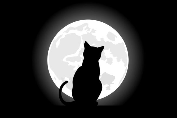 Силуэт кошки на Луне