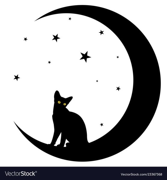 Кот на месяце