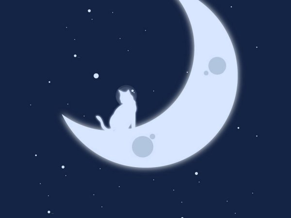 Кошка Луна