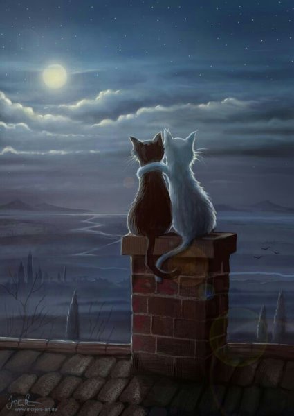 Кот на крыше