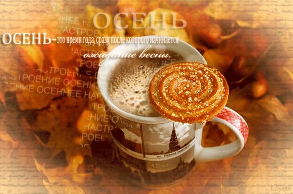Гиф доброе осеннее утро кофе
