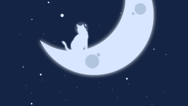 Кошка Луна